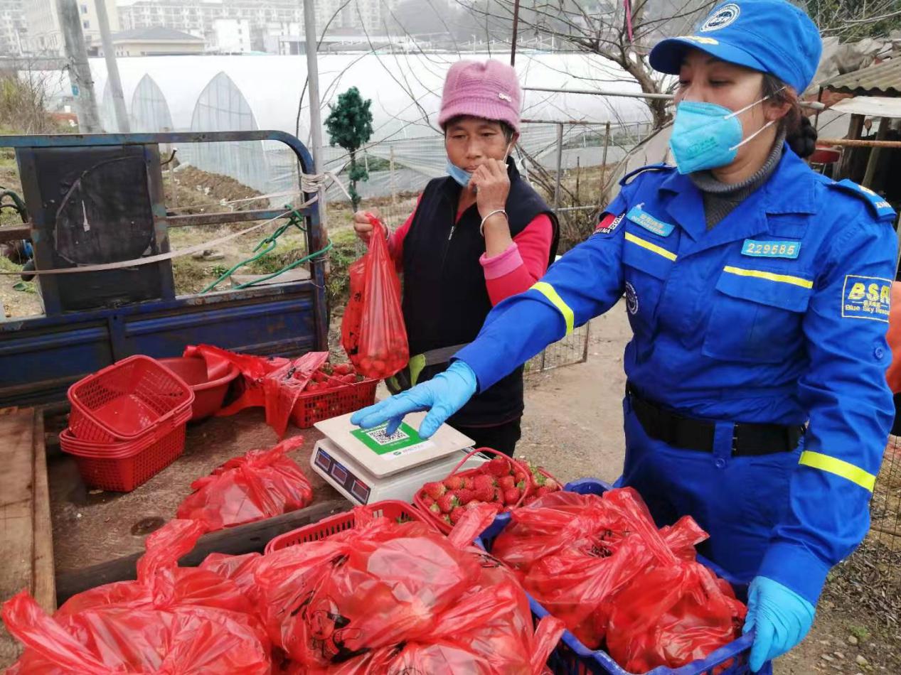 战疫志愿者服务在行动,战疫志愿队