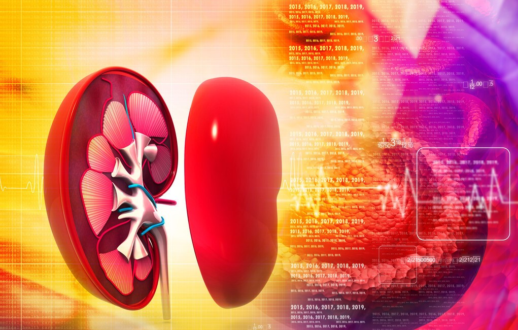 体检出现尿隐血需要复查吗,体检发现尿隐血一个加号