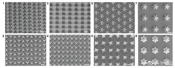 头发粘在一起是怎么回事,为什么头发会粘在一起