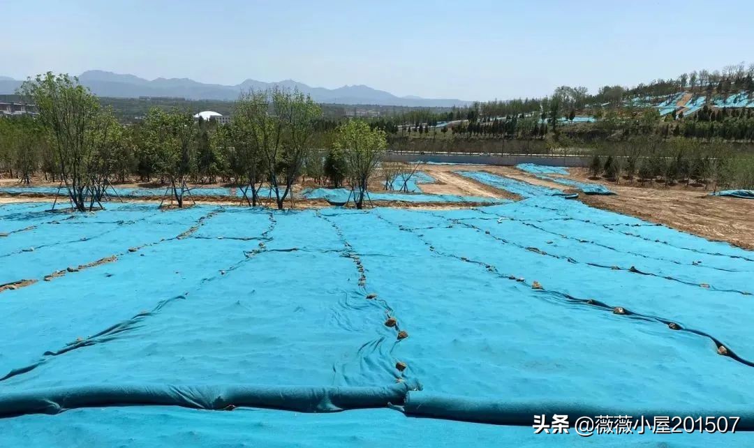 河南中岳嵩山,河南登封中岳嵩山的三教文化