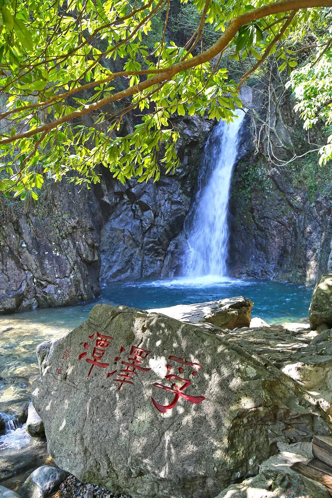 宁波避暑耍水胜地,宁波森林氧吧景区