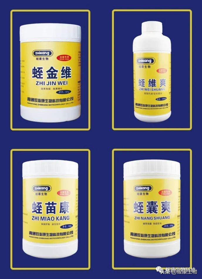 水蛭小苗下水不开口抱团是为什么,水蛭生长须要什么样的条件