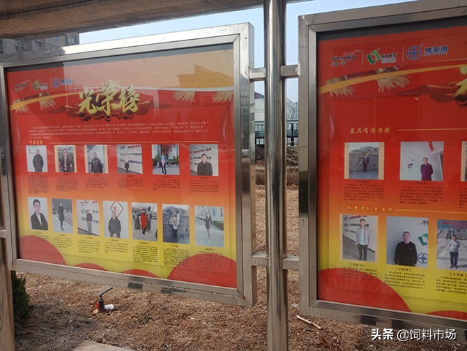 绿色无抗饲料齐鲁行之神牛药业：用制药工艺智造替抗精品