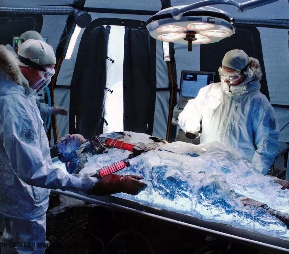 人体冷冻细胞会死亡吗,动物液氮冷冻实验有成功复活过吗