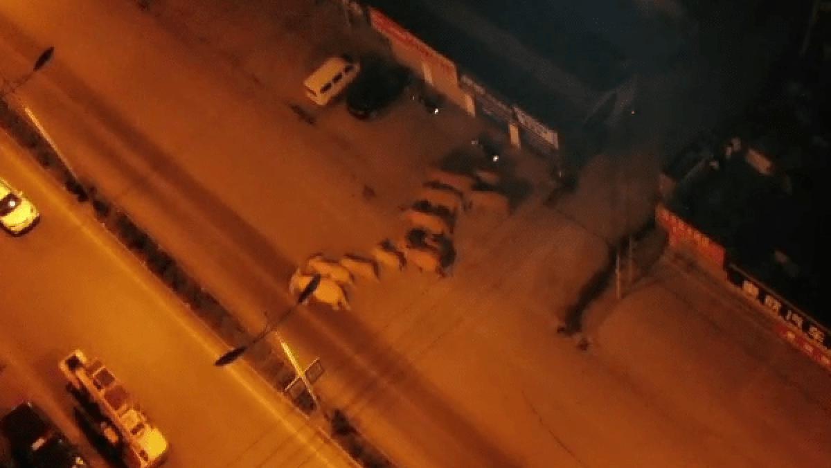 云南大象为什么往北迁徙,云南大象迁徙小象艰难爬出水沟