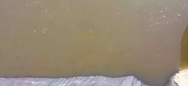 如何快速解决水体浑浊问题,处置水质的100种方法