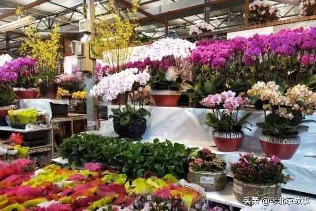 官园拆迁安置房,官园拆迁安置房拿房时间