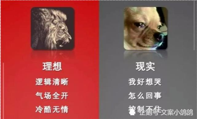 有那么一天，我对同学说：我没钱了，你纸钱借我用一下呗