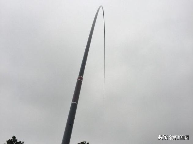 鱼竿价格为什么差别那么大,为什么有那么多品牌鱼竿那么便宜