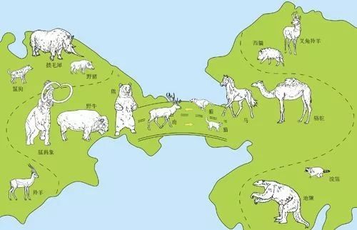 鍙樺紓铚傞笩,铚傞笩鍙樺紓