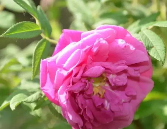 女子深夜出血检查出宫颈癌,28岁女子查出宫颈癌的4个征兆