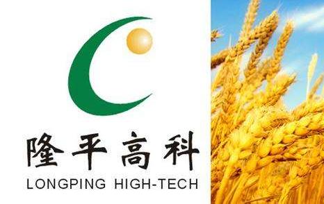 隆平高科转基因种业最新消息,隆平高科转基因玉米