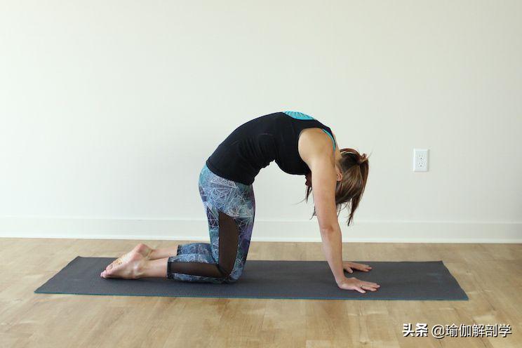 经期缓解腰背酸痛的瑜伽体式,缓解经期腰痛的瑜伽最佳动作