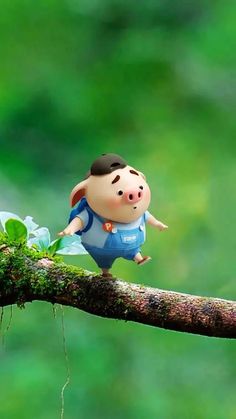 可爱又萌的小猪猪,可爱的小猪猪萌萌哒