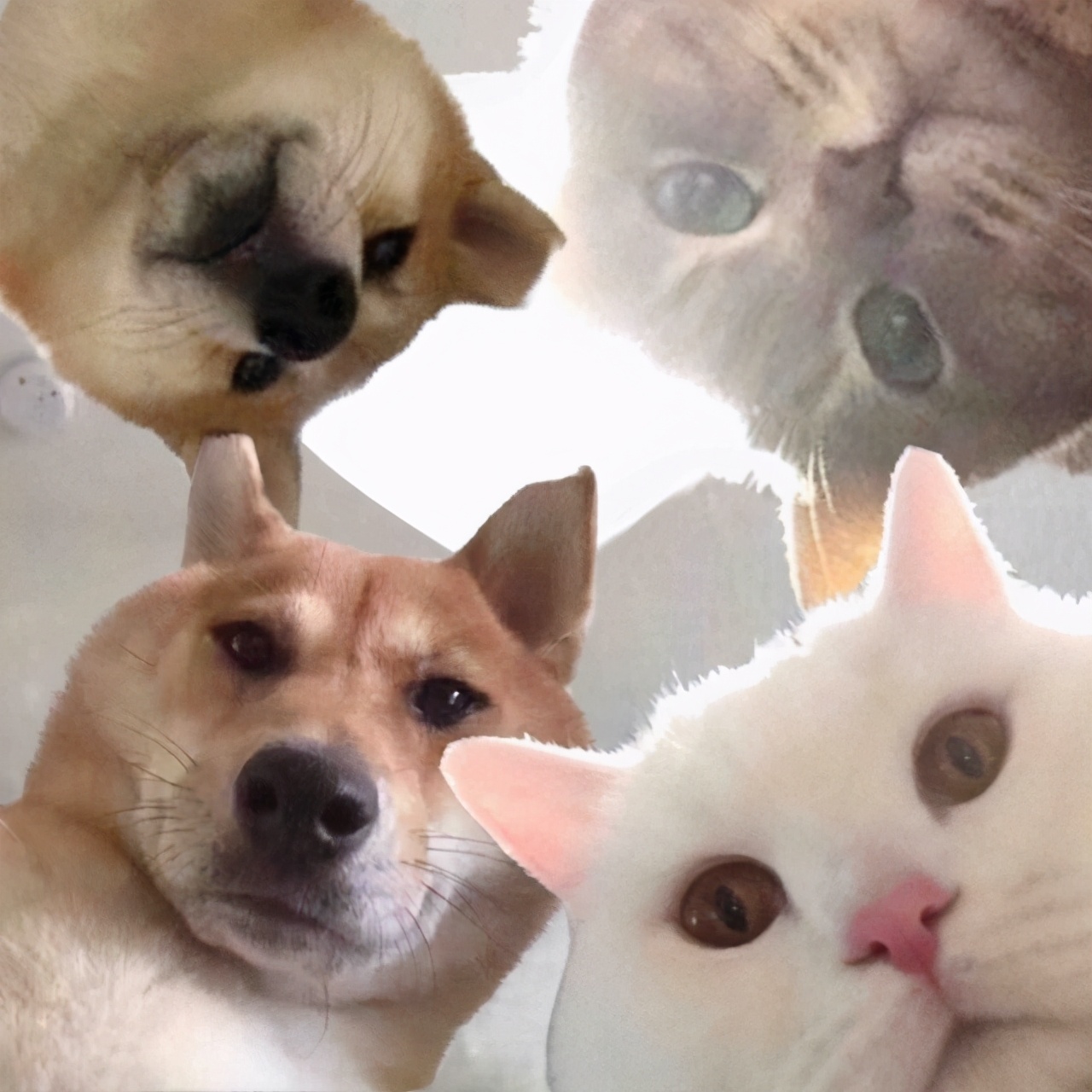 谁说男生护肤不重要的,男生护肤入门基础知识