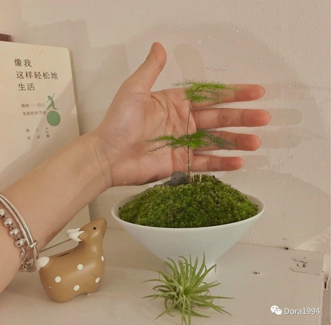 深圳适合放松的咖啡厅,深圳适合一个人打卡拍照的咖啡厅