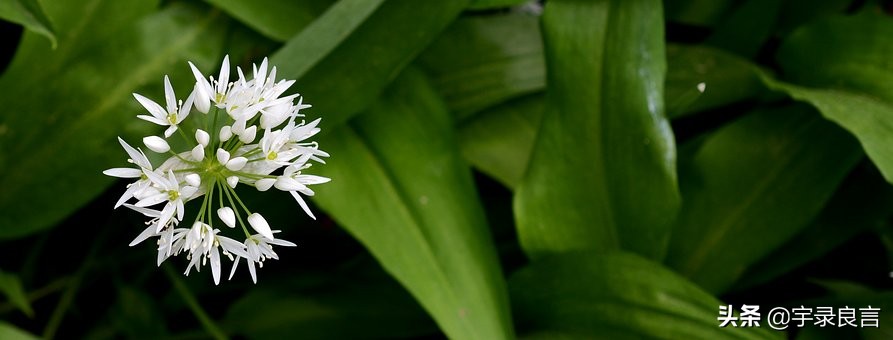 人生正能量的阳光短句句句精辟,正能量生活充满阳光的句子