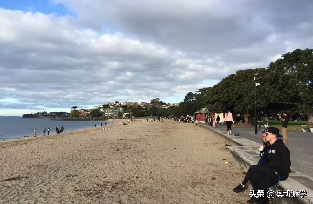 新西兰游学冬令营两周费用,新西兰游学团推荐