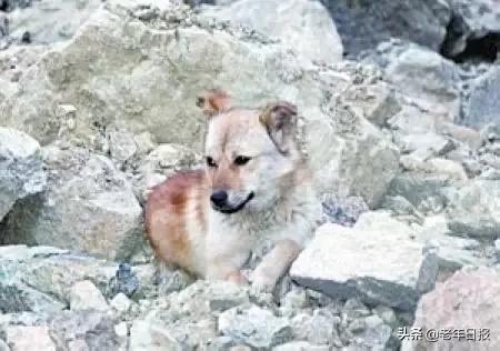 朋友圈最火的6张图片道破人性,朋友圈最火的4张图片道破人性