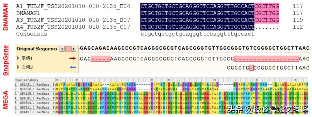 生物信息学软件下载,生物学软件