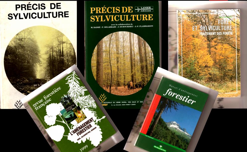 树木由来,树木从远古到现在