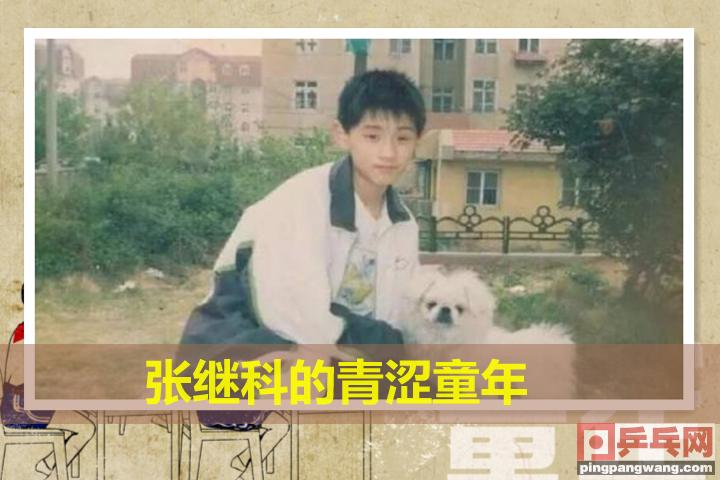 2016年乒超张本智和刘诗雯,刘诗雯战胜张本智和决赛