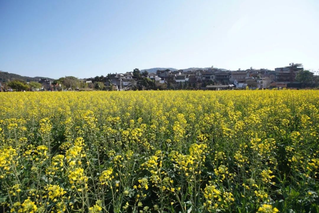 极边之城腾冲，来这里必做的八件事，否则白来了