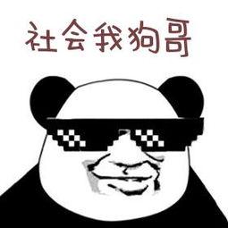 表示震惊的熊猫头表情包,熊猫头小眼睛震惊表情包