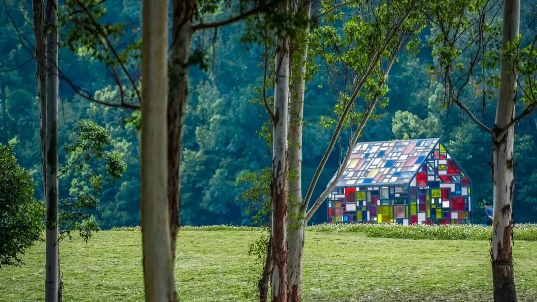 成都周边适合夜游的古镇,成都周边夜游网红地点推荐