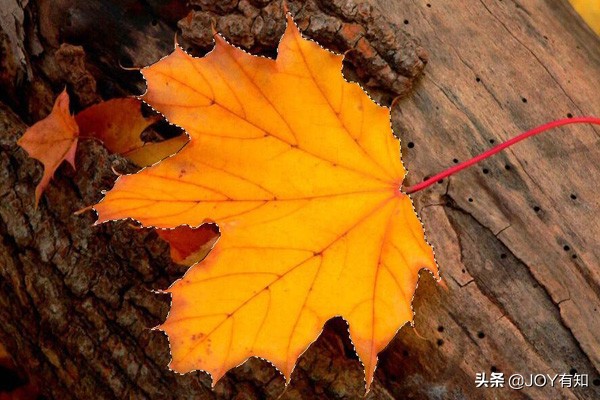 photoshop选区处理过程中的作用,photoshop怎么载入选区