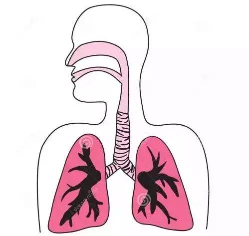 益生菌与免疫疾病,益生菌和流感病毒