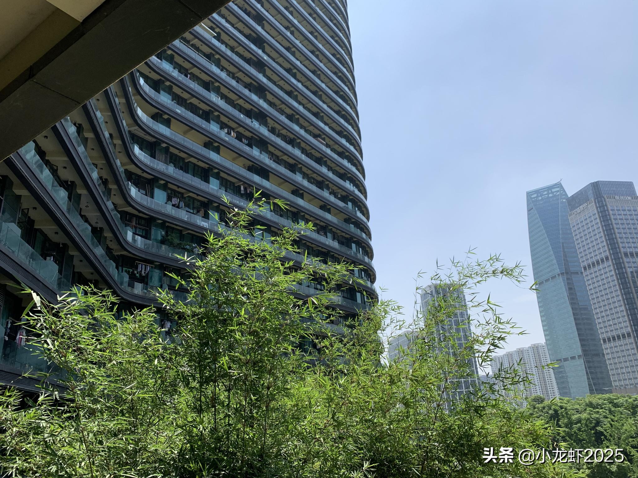 杭州最大群租房丽晶国际,杭州丽晶国际群租房