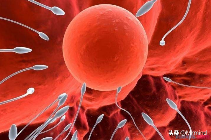 17岁少女为7000元卖卵子，在病床上，她感受到了前所未有的疼！