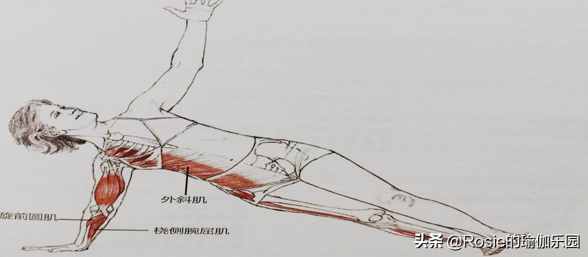 运动量过大腰疼怎么恢复,产后腰痛膝盖痛怎么锻炼