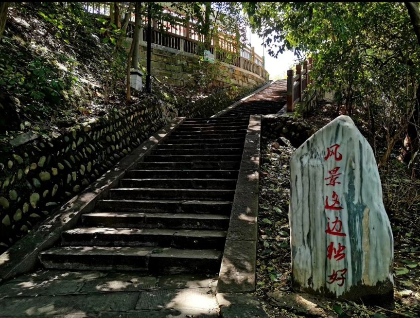 绵阳南山中学学生发言,绵阳南山中学上学感受