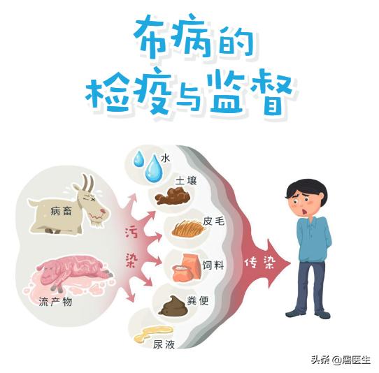 布鲁菌病防控系列小知识问答36-40