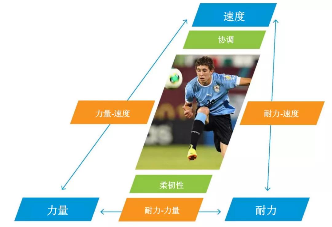 王之者足球培训中心怎么样,深圳王之者足球培训中心