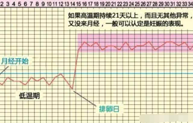 女性排卵时有什么感觉吗,彩超检测排卵怎么知道卵子已排出