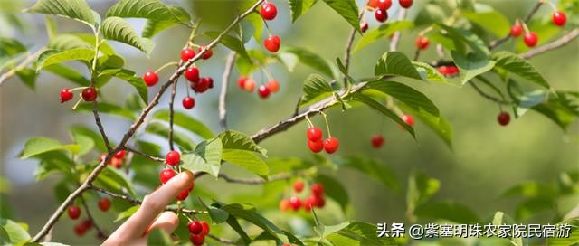 遵化有山有水的农家院,遵化美丽农家院