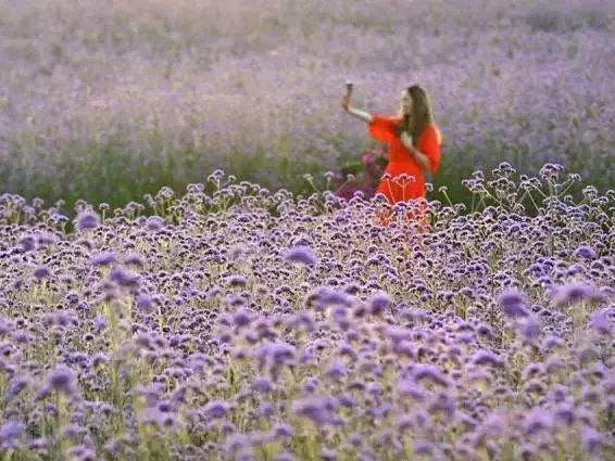 一泡而红!四川这座小城已火向全球,今天万人齐聚!