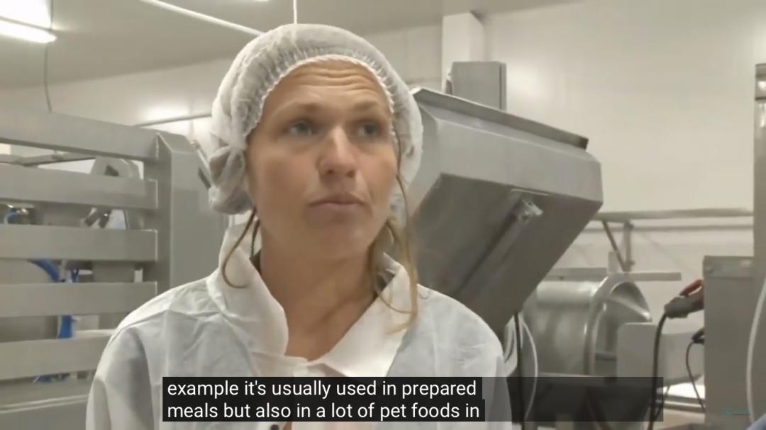 “最毒僵尸鱼”,外媒曝挪威三文鱼养殖乱象,看完胃不好了