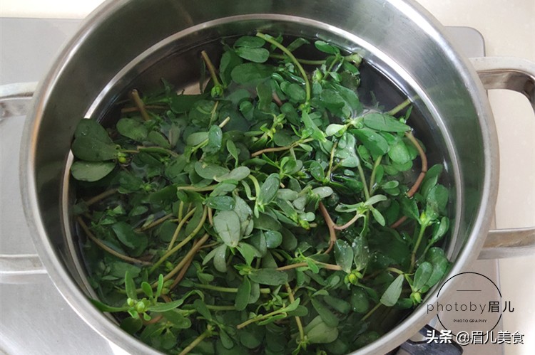 适合口腔溃疡吃的菜,口腔溃疡上火吃什么野菜