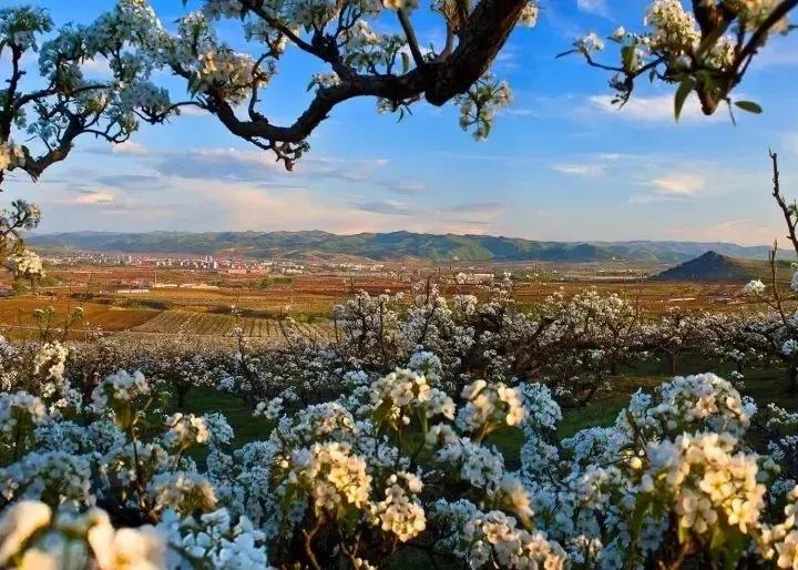 这个吉林特产,贼解秋燥!