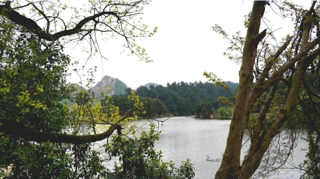 贵阳万科观山湖楼盘,贵阳万科观湖施工进度