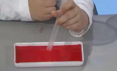 用纸做花放水里盛开的视频,用纸做花朵放水里盛开