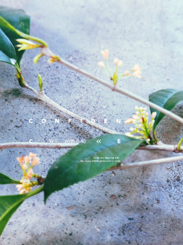 一部手机拍大片视频,一部手机就可以拍出大片