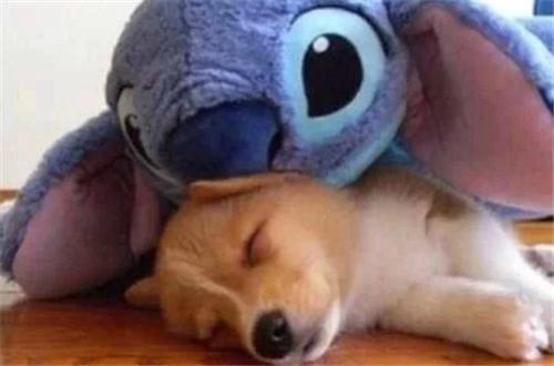 孩纸，妈就稀罕你这点，没人追，还能吹