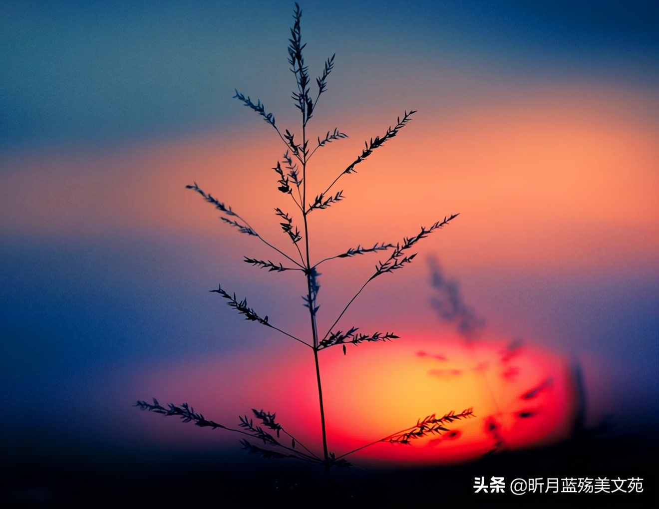 有种真爱叫忍着不联系却天天想你,有一种深爱叫天天想你却不能相见