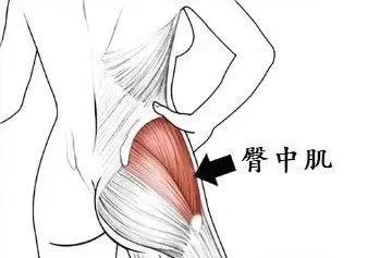 让屁股翘怎么练,让臀部更翘的动作