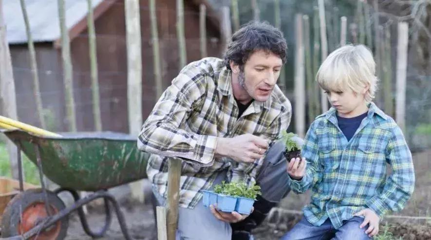 民宿农庄怎么做才有特色,新型民宿结合农庄玩法